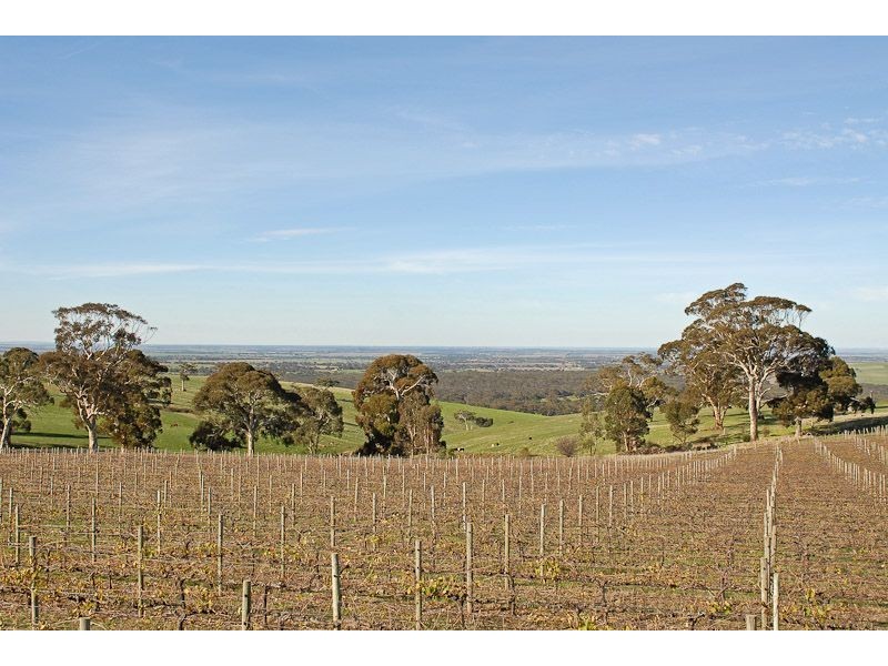 225B Trig Point Road, Mosquito Hill SA 5214