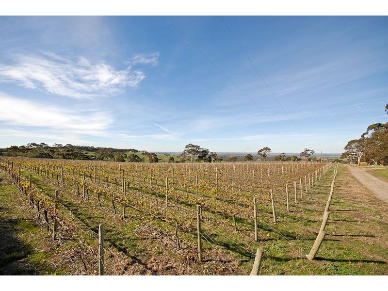 225B Trig Point Road, Mosquito Hill SA 5214