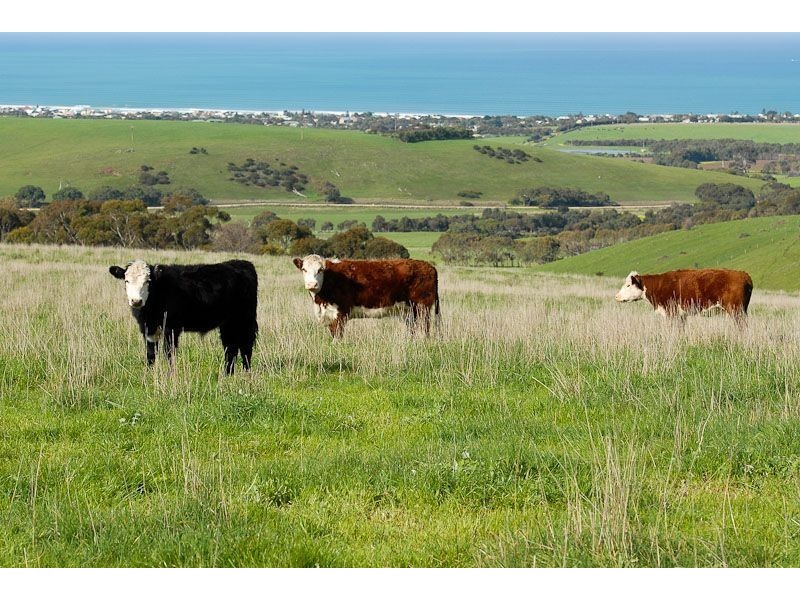 53,54 &55 Higgins Road, Port Elliot SA 5212