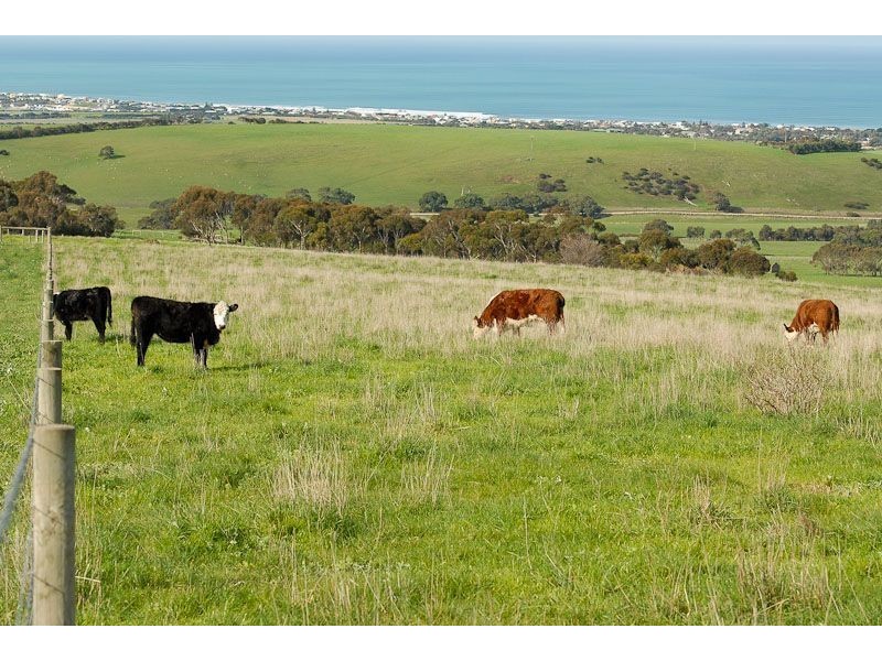 53,54 &55 Higgins Road, Port Elliot SA 5212