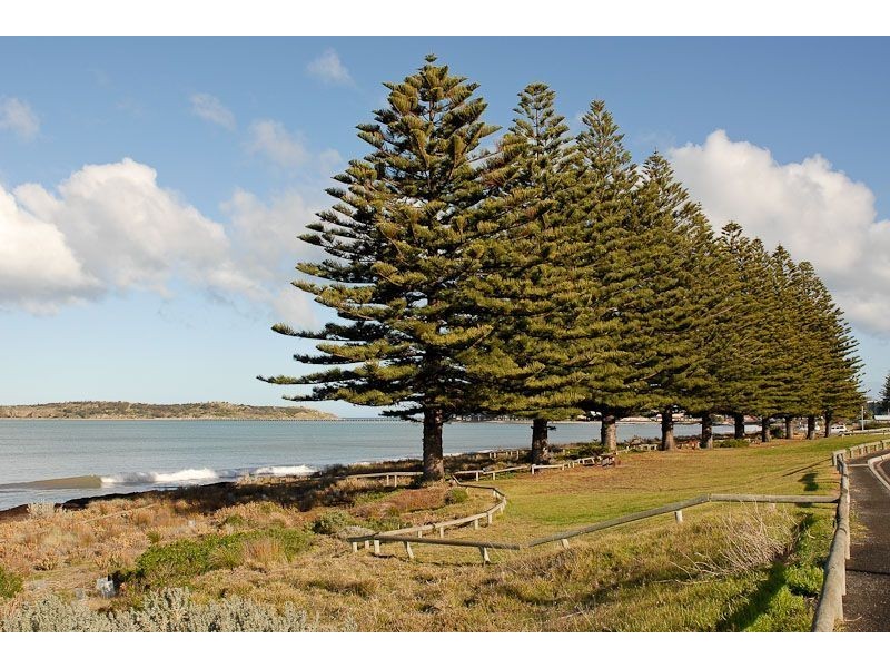 8 Bridge Terrace, Victor Harbor SA 5211