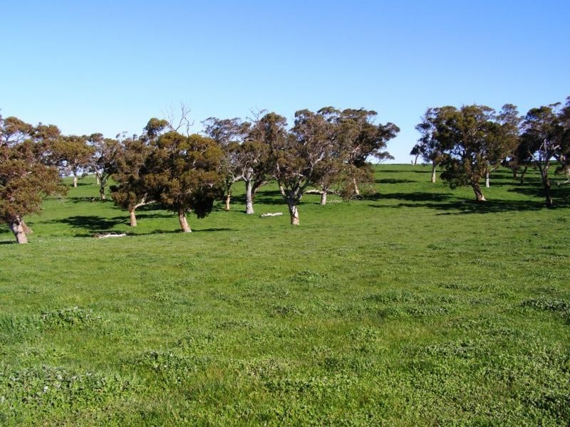 Lot 201 The Brook Drive, Middleton SA 5213