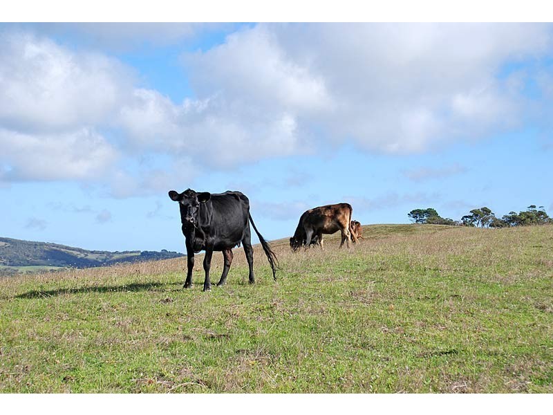 Lot 4 Back Valley Road, Victor Harbor SA 5211