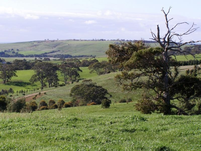 Lot 12 The Brook Drive, Middleton SA 5213