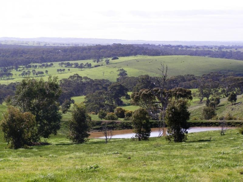 Lot 12 The Brook Drive, Middleton SA 5213