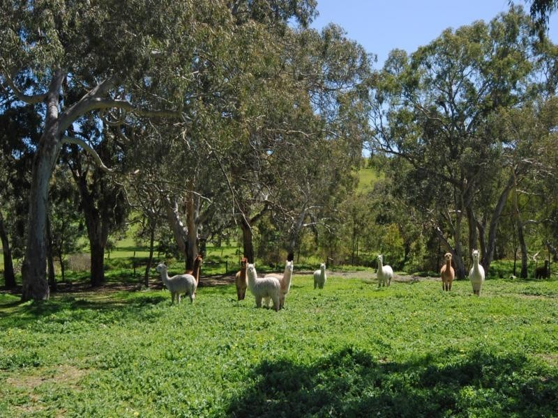 Lot 23 Inman Valley Road, Inman Valley SA 5211