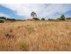 10 Laxton Street, Mccracken SA 5211