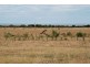 Lot 2 Flagstaff Hill Road, Middleton SA 5213