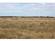 Lot 2 Flagstaff Hill Road, Middleton SA 5213