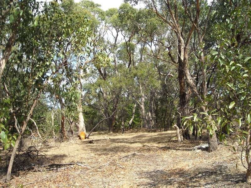 Sec 83 Forktree Road, Myponga SA 5202