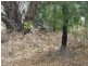 Sec 83 Forktree Road, Myponga SA 5202