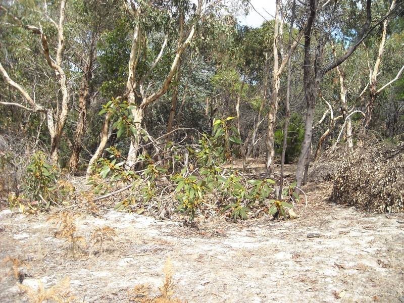 Sec 83 Forktree Road, Myponga SA 5202