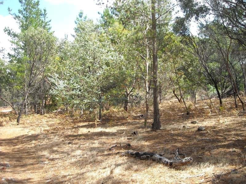 Sec 83 Forktree Road, Myponga SA 5202