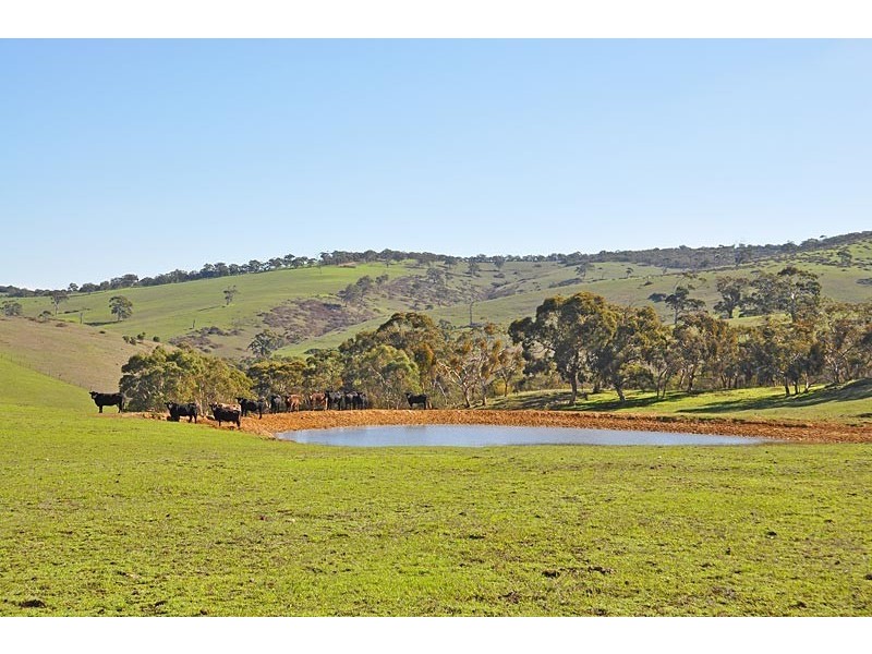 Lot 1988 Rymill Road, Ashbourne SA 5157