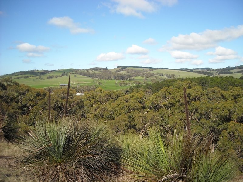 Lot 15 Hindmarsh Valley Road, Hindmarsh Valley SA 5211