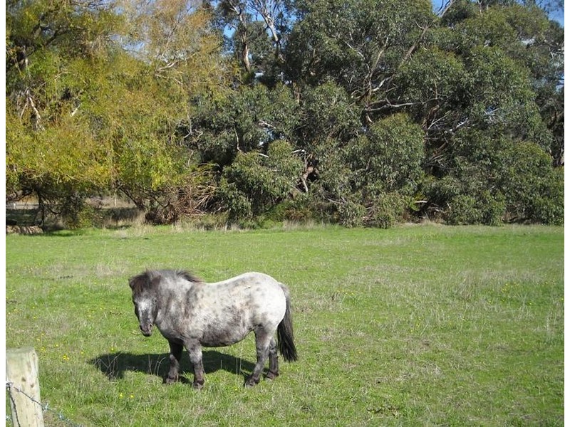 Lot 15 Hindmarsh Valley Road, Hindmarsh Valley SA 5211