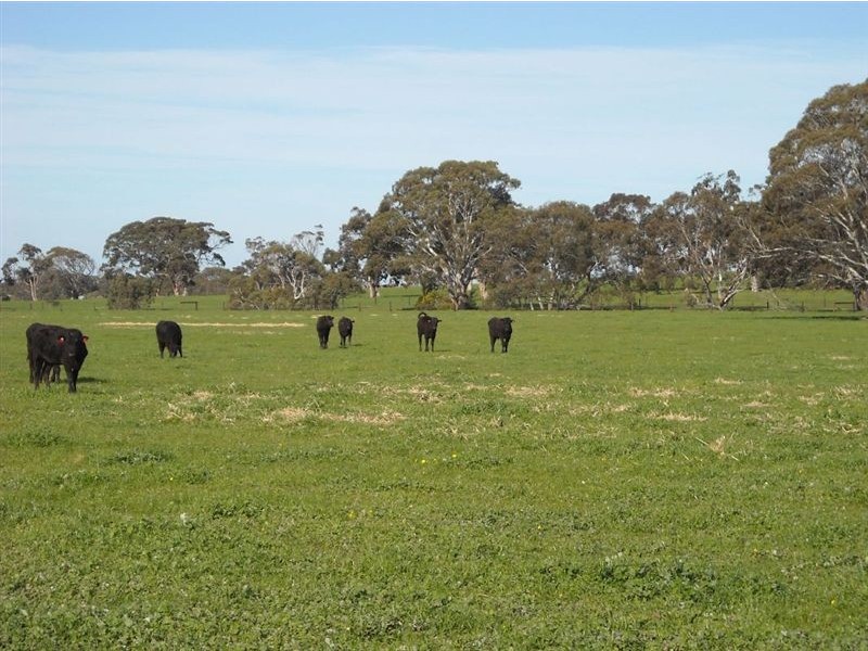 Sec 2040 Gould, Currency Creek SA 5214