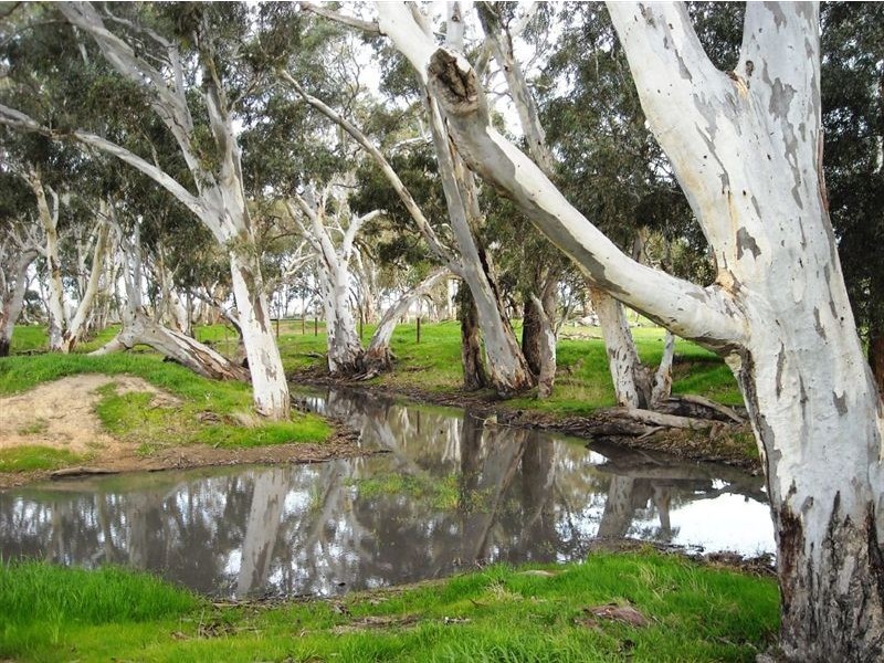 Sec 2040 Gould, Currency Creek SA 5214