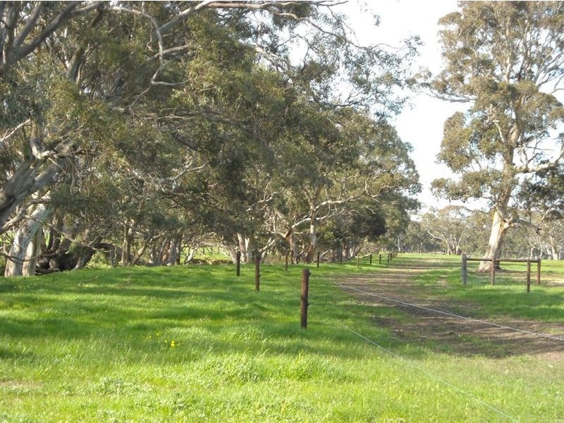 Sec 2040 Gould, Currency Creek SA 5214