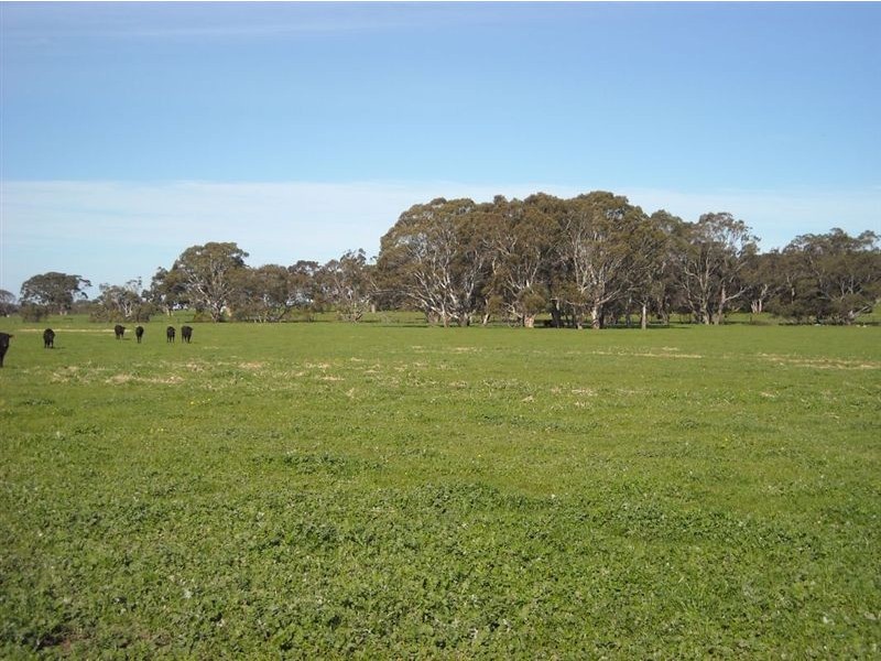 Sec 2040 Gould, Currency Creek SA 5214