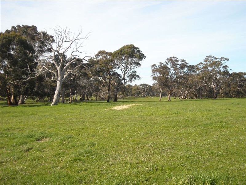 Sec 2040 Gould, Currency Creek SA 5214