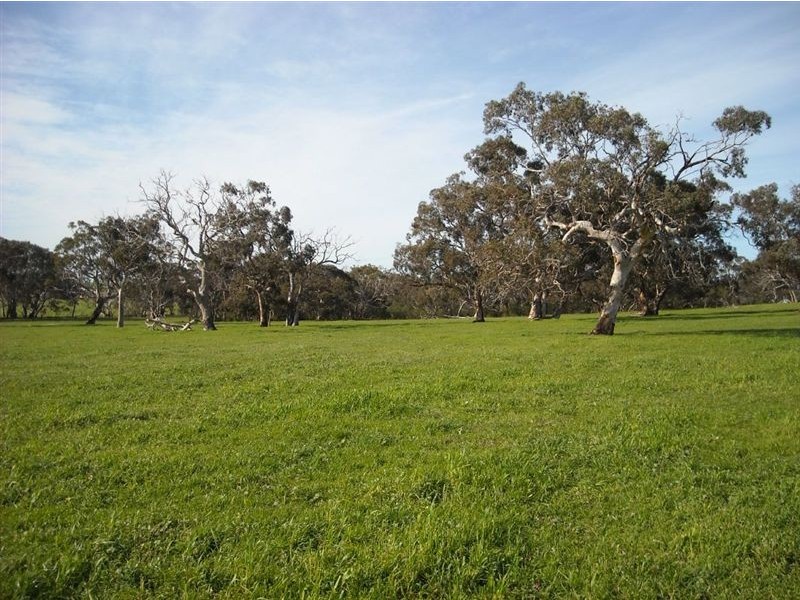 Sec 2040 Gould, Currency Creek SA 5214