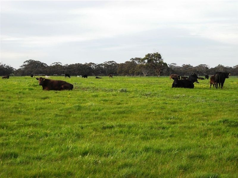 Lot 2043 Gould Road, Currency Creek SA 5214