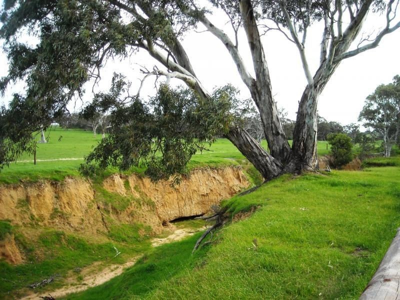 Lot 2043 Gould Road, Currency Creek SA 5214