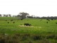 Lot 18 Gould Road, Currency Creek SA 5214