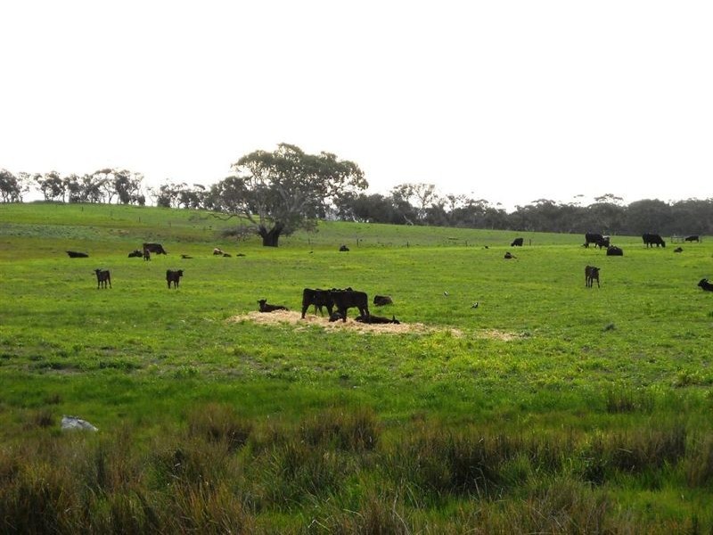 Lot 18 Gould Road, Currency Creek SA 5214