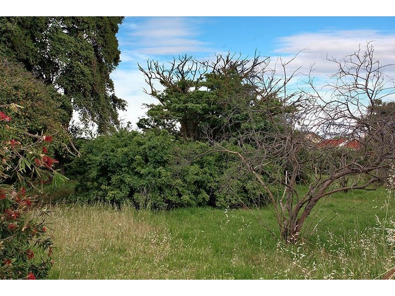 8 Hays Street, Goolwa SA 5214