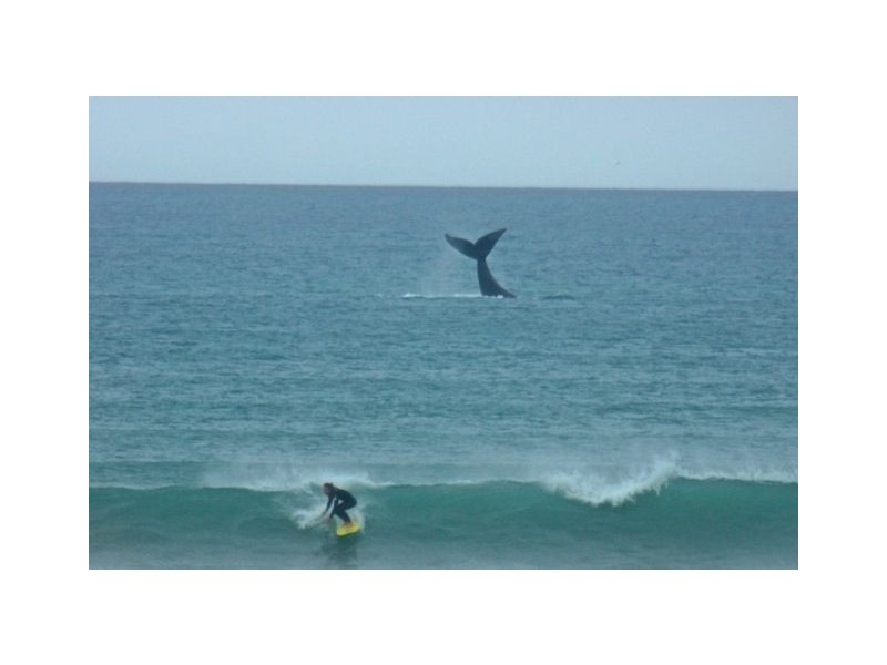 76 Esplanade, Middleton SA 5213