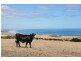 Lot 102 Crows Nest Road, Port Elliot SA 5212
