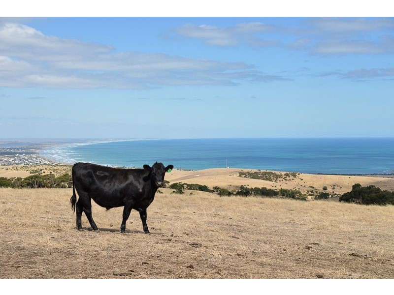 Lot 102 Crows Nest Road, Port Elliot SA 5212