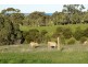Lot 701 Inman Valley Road, Victor Harbor SA 5211