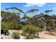 40 Pages Road, Victor Harbor SA 5211