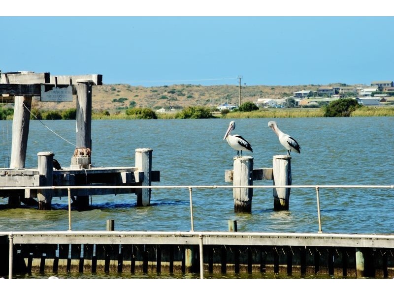 123 Fenchurch Street, Goolwa SA 5214