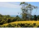 40 Whalers Road, Encounter Bay SA 5211