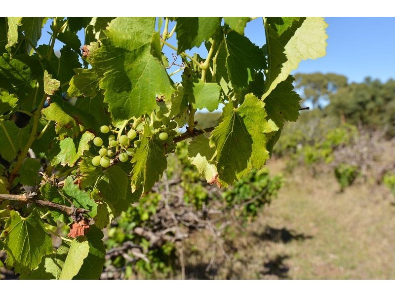 155A Crows Nest Road, Port Elliot SA 5212