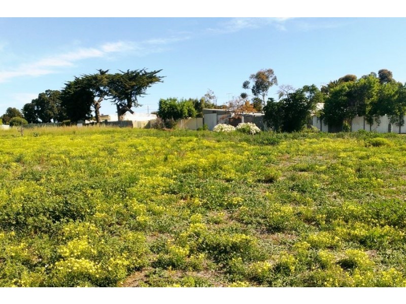 11 & 13 Avoca Street, Goolwa SA 5214
