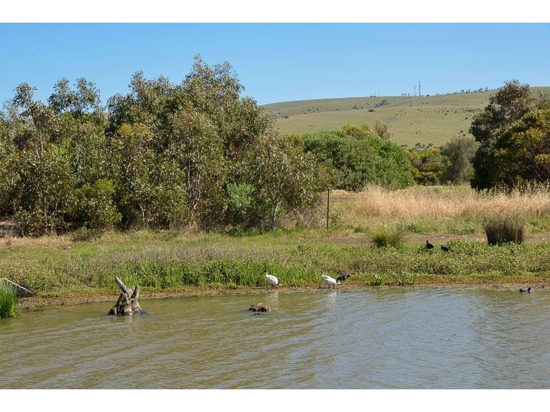 L171&L172 Sun Orchid Drive, Hayborough SA 5211