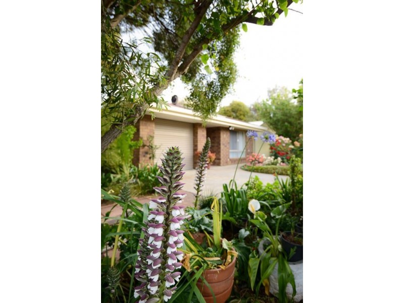 7 Joy Street, Encounter Bay SA 5211