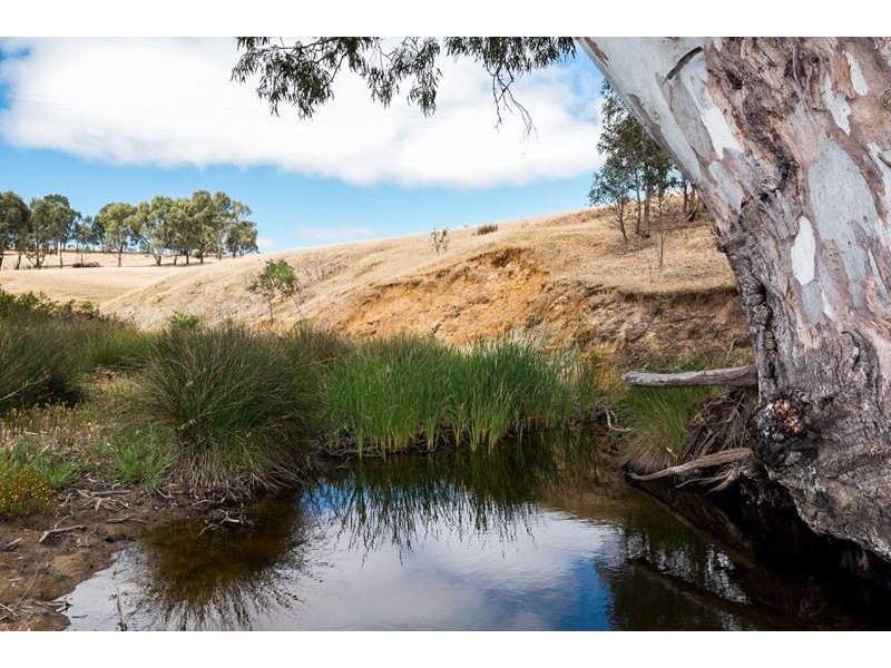 1084 Signal Flat Road, Finniss SA 5255