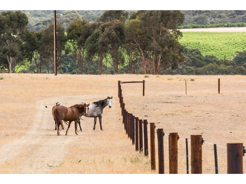 1084 Signal Flat Road, Finniss SA 5255