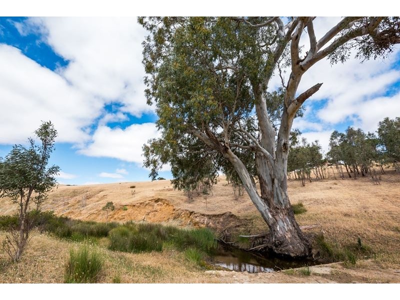 1084 Signal Flat Road, Finniss SA 5255