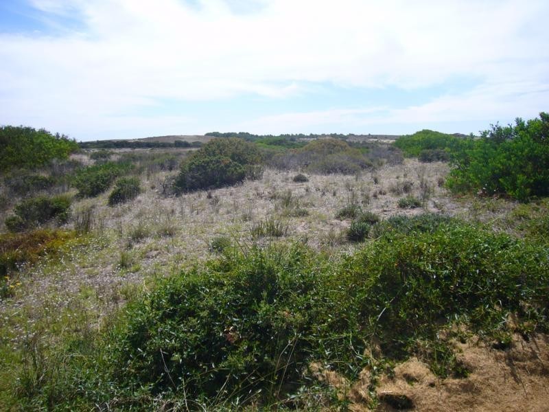 18 Newell Avenue, Middleton SA 5213