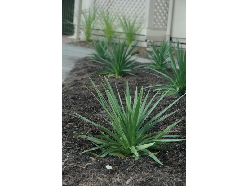 4 Harborview Terrace, Encounter Bay SA 5211