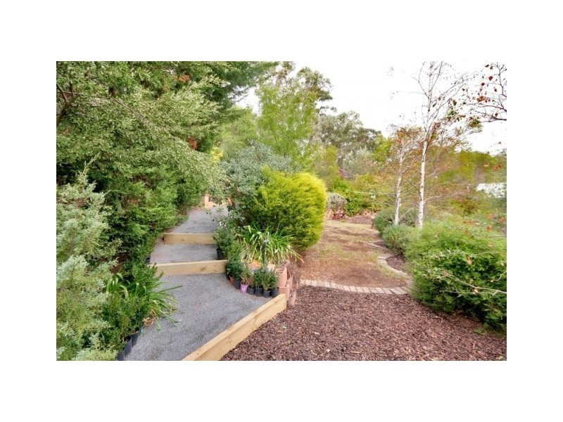 13 Woodland Grove, Aberfoyle Park SA 5159