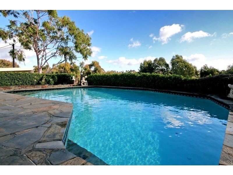 6 Starlight Crescent, Flagstaff Hill SA 5159