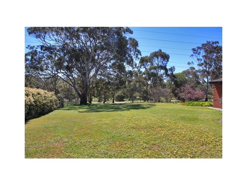 99 Daveys Road, Flagstaff Hill SA 5159